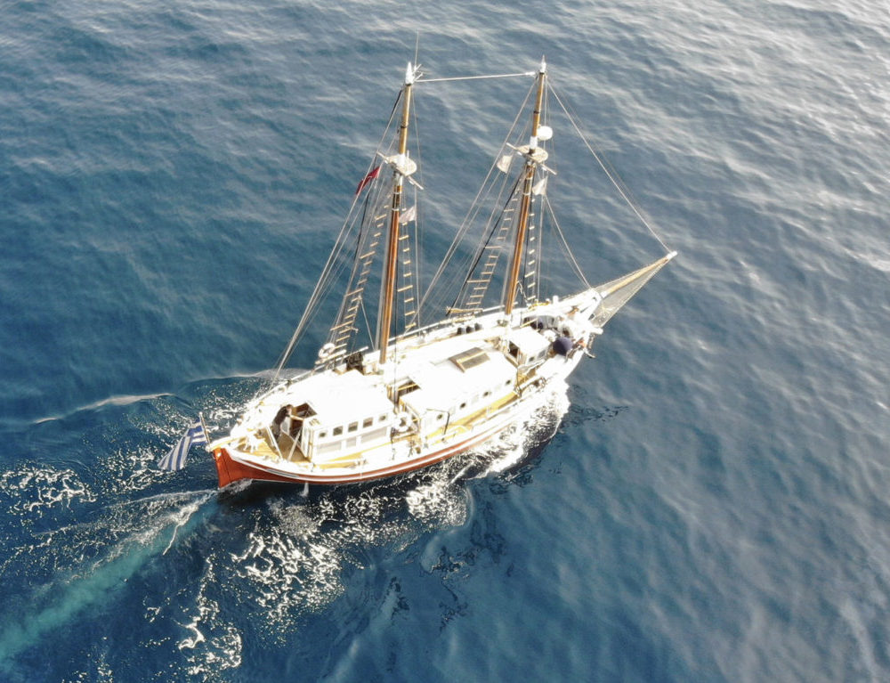 Rhenia Cruise